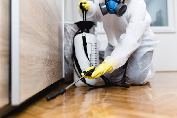 Best Pest Control Near Me in Manhattan, NY