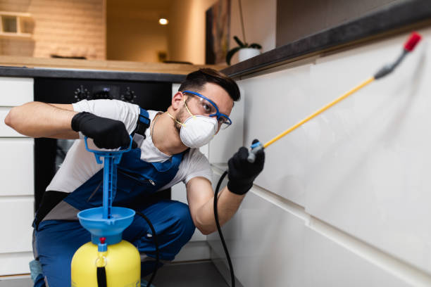Best Residential Pest Control  in Manhattan, NY
