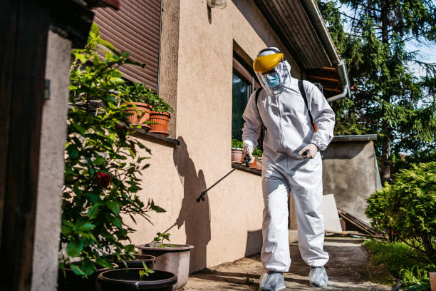 Best Pest Removal Services  in Manhattan, NY