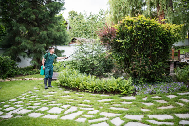 Best Mosquito Control Services  in Manhattan, NY
