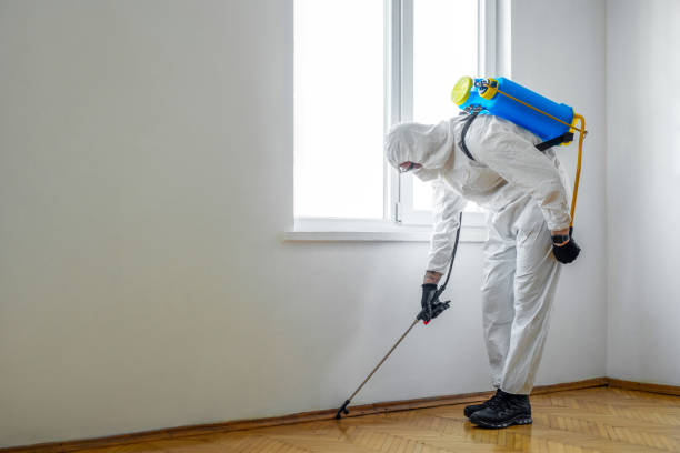  Manhattan, NY Pest Control Pros