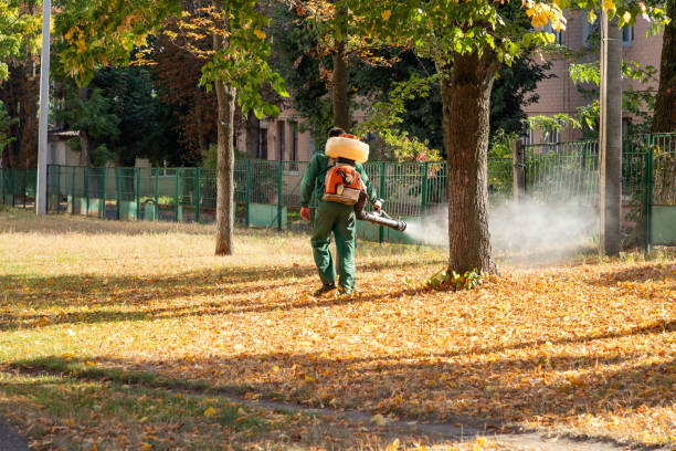 Best Wasp Removal Services  in Manhattan, NY